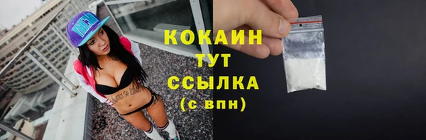 амф Богородицк