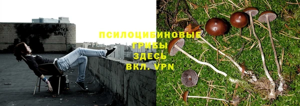 скорость Богородск