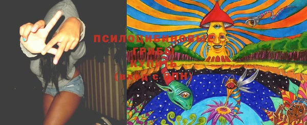 соль курить ск Богданович