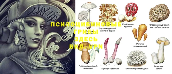 амф Богородицк