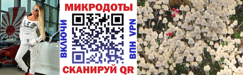 hydra ONION  Динская  Галлюциногенные грибы мухоморы  сколько стоит 